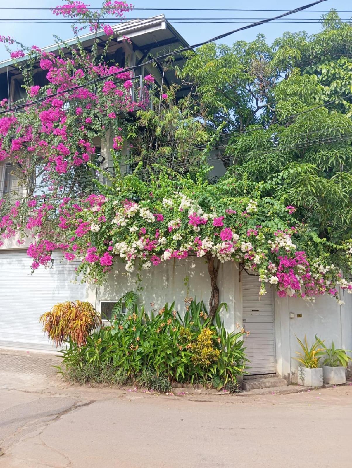 Kelaniya Heritage Exteriér fotografie